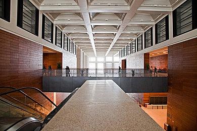 《最后生还者2》艾莉是否原谅了艾比 尼尔：取决于玩家自己